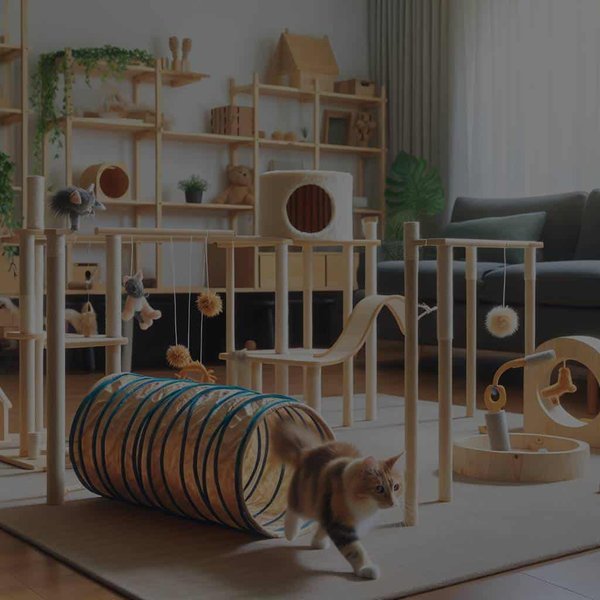Comment créer un parcours d'obstacles maison pour stimuler l'activité physique de votre chat ?